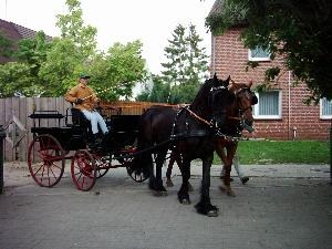 Kutschfahrt Tammo und Gracia